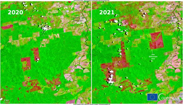 <p>Images, from October 23, 2020 and October 3, 2021 provide evidence of new deforested areas near Castelo de Sonhos, Para, Brazil</p>