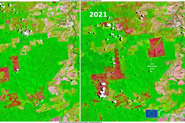 <p>Images, from October 23, 2020 and October 3, 2021 provide evidence of new deforested areas near Castelo de Sonhos, Para, Brazil</p>