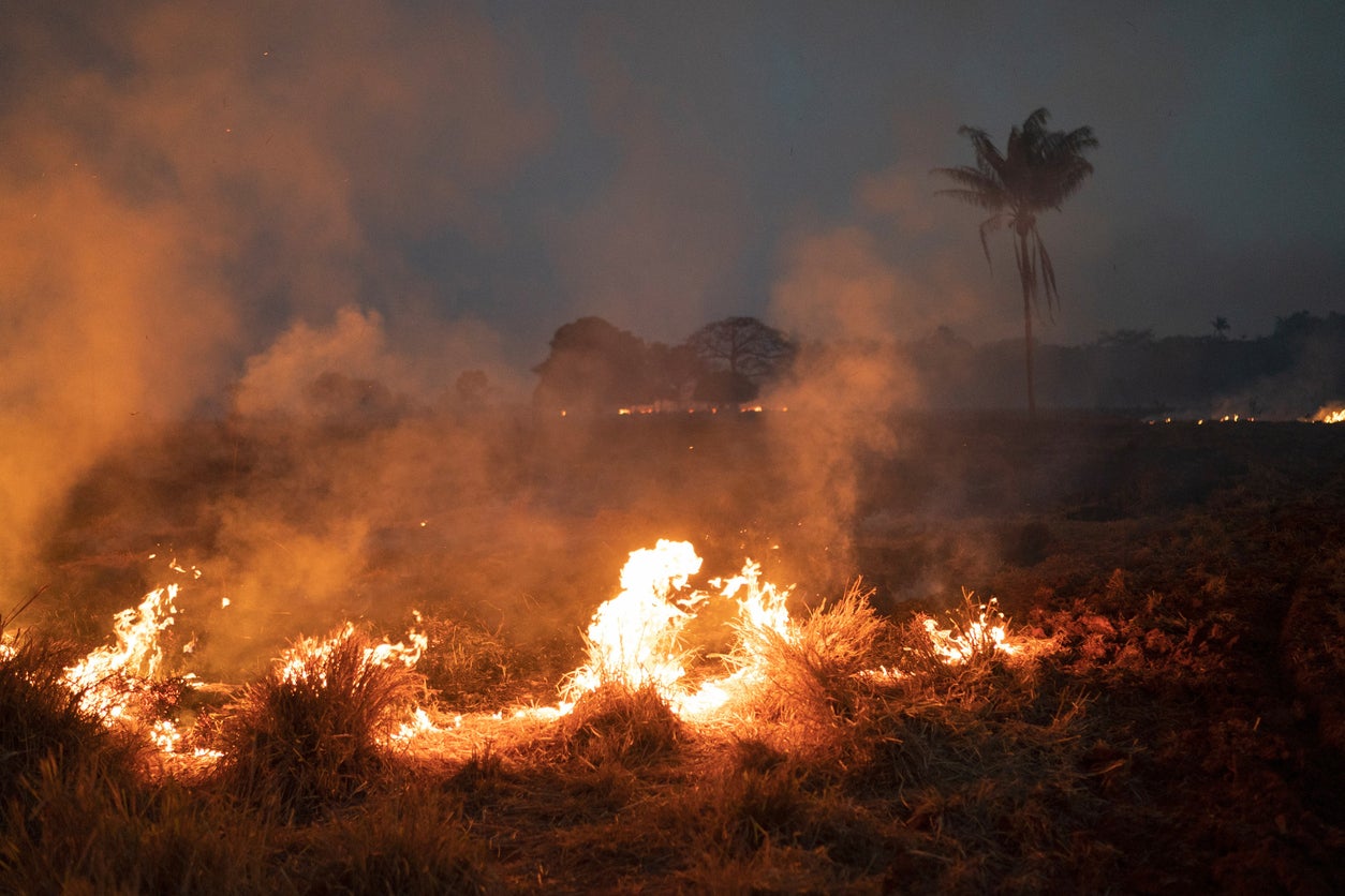 Fire burns in the Amazon rainforest. The region has seen the worst rates of deforestation in 15 years, the Brazilian space agency, INPE, has reported