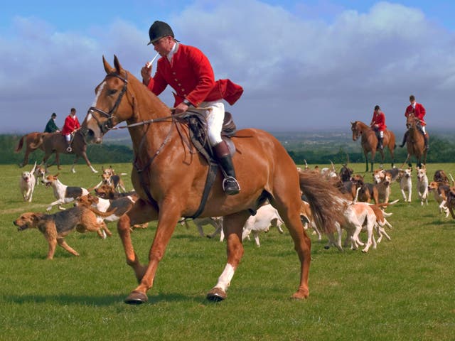 <p>More than a million acres of countryside are now out of bounds to hunts</p>