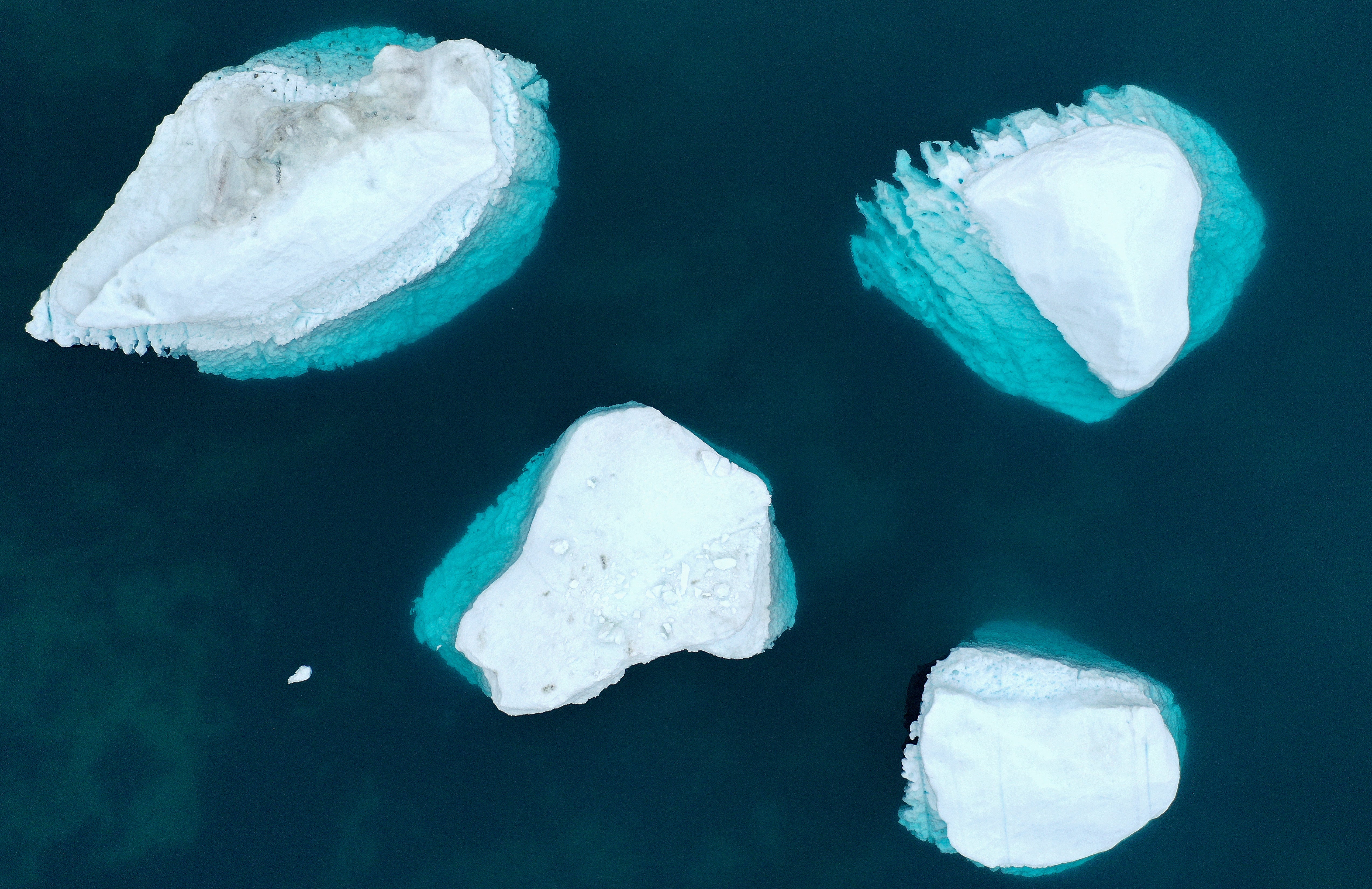 An aerial view of icebergs calved from a glacier in Greenland in September