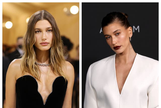 <p>Hailey Bieber recently went from blonde to brunette</p>