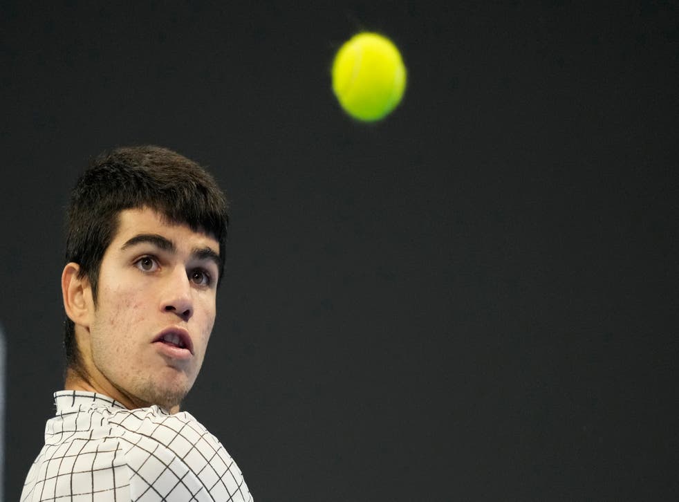 COPA DAVIS ALCARAZ