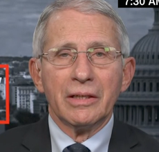 Fauci says US may block travel from countries again if new Covid variant evades vaccine