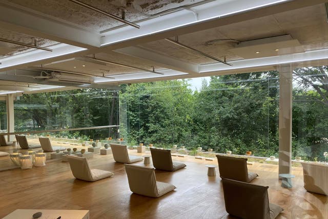 <p>The Green Lab cafe near Seoul Forest allows customers to book a slot to sit in peace and quiet </p>