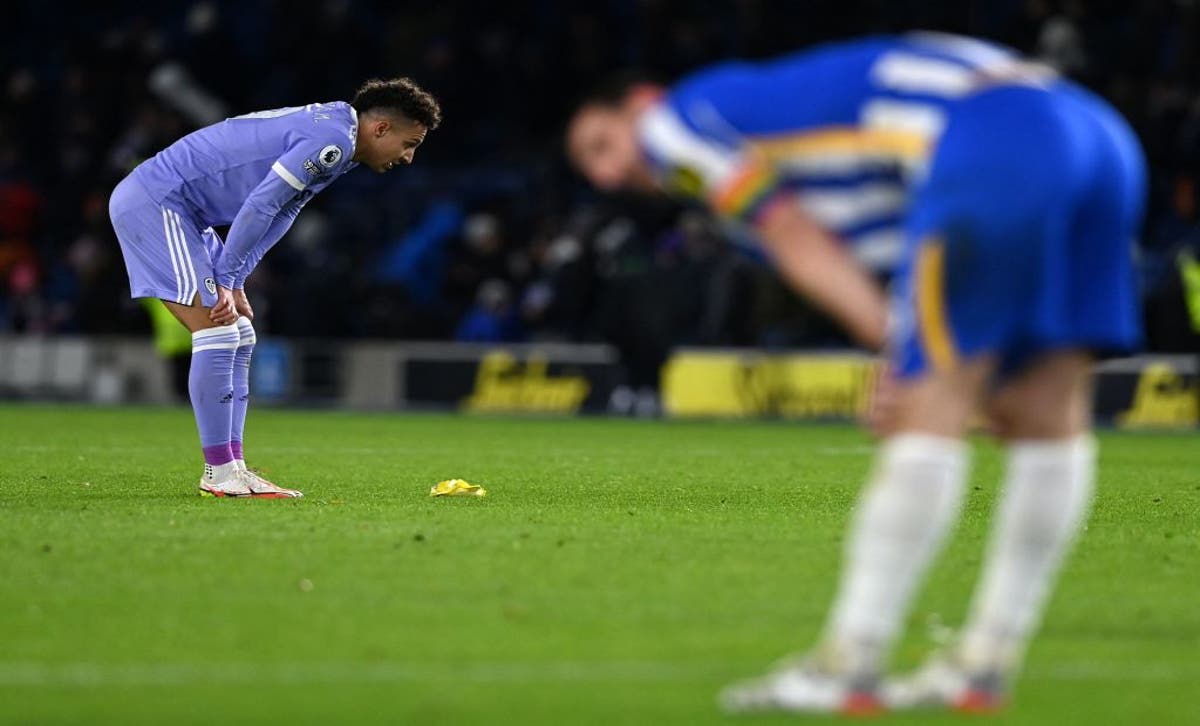 brighton vs leeds live premier league result final score and reaction the independent