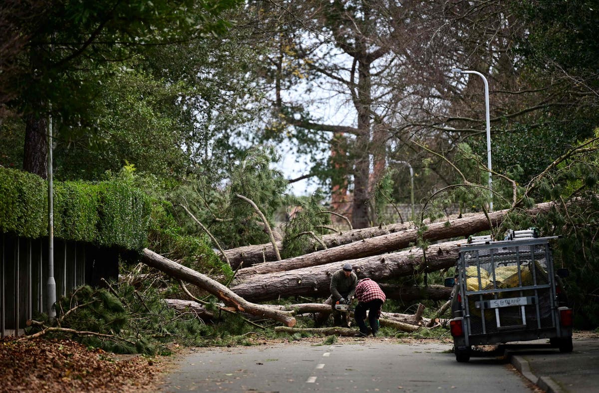 Storm Arwen: Thousands spend fourth night without power after 100mph winds wreak havoc