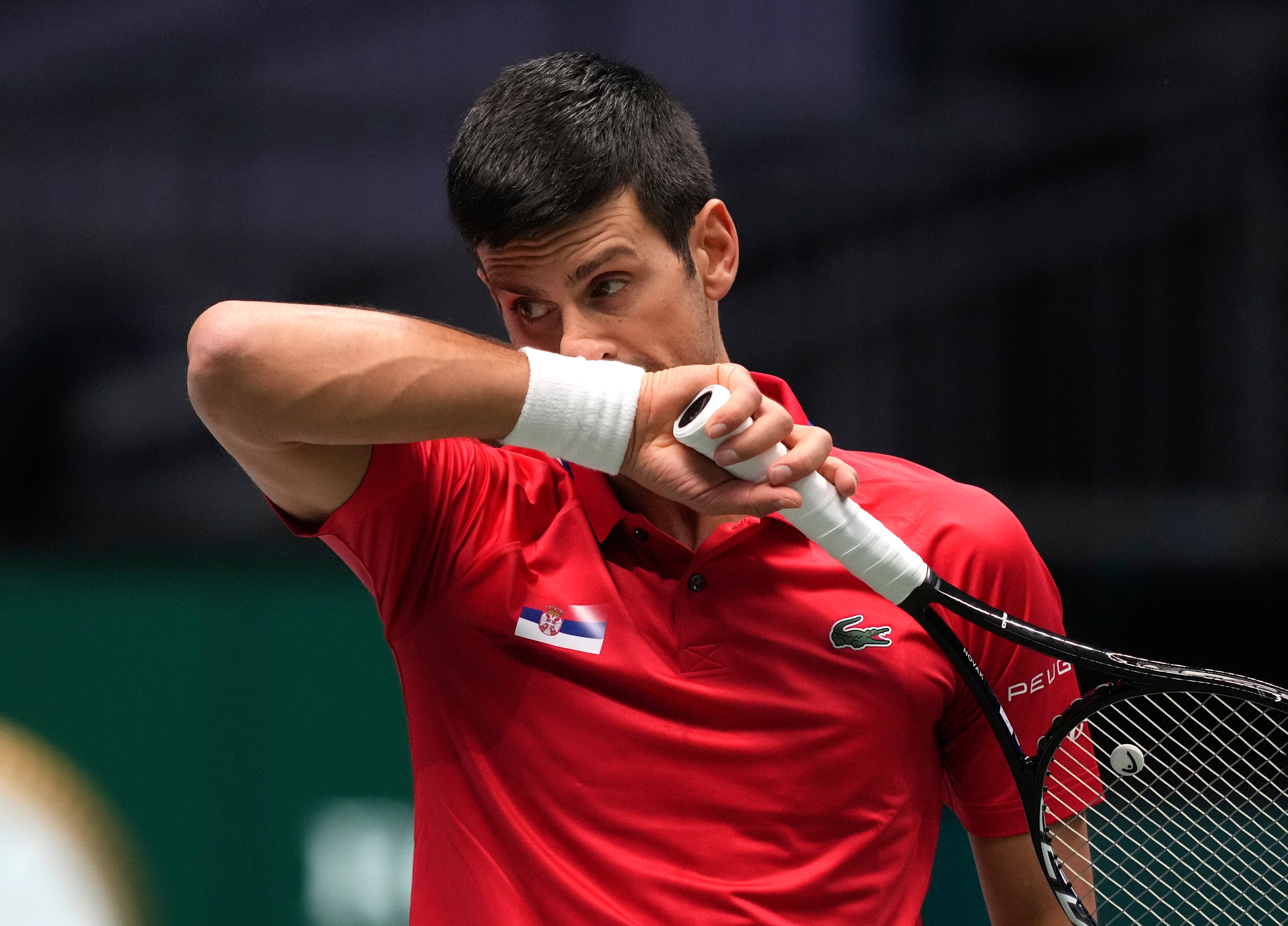 Novak Djokovic was unable to guide Serbia to victory (Michael Probst/AP)