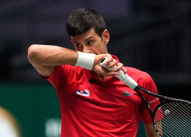 <p>Novak Djokovic was unable to guide Serbia to victory (Michael Probst/AP)</p>