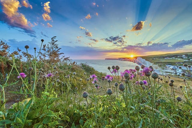 <p>The National Trust’s Seven Sisters country park in East Sussex</p>
