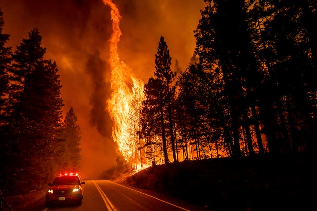 <p>Flames leap from trees as the Dixie Fire jumps Highway 89 in Plumas County, California on August 3, 2021. The Dixie Fire was the first to burn from one side of the Sierra to the other</p>
