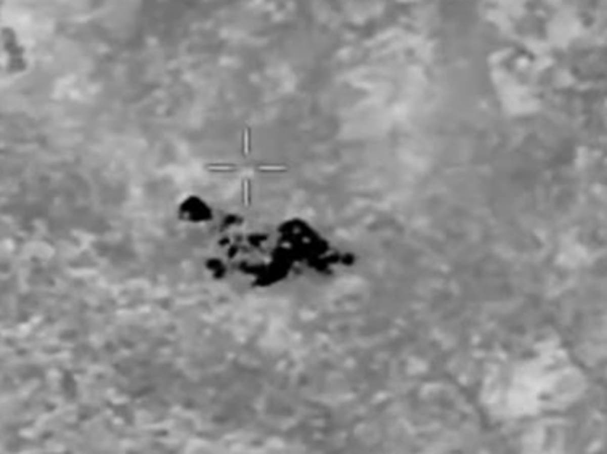 Moment police use thermal imaging to find missing pensioner in woods ...