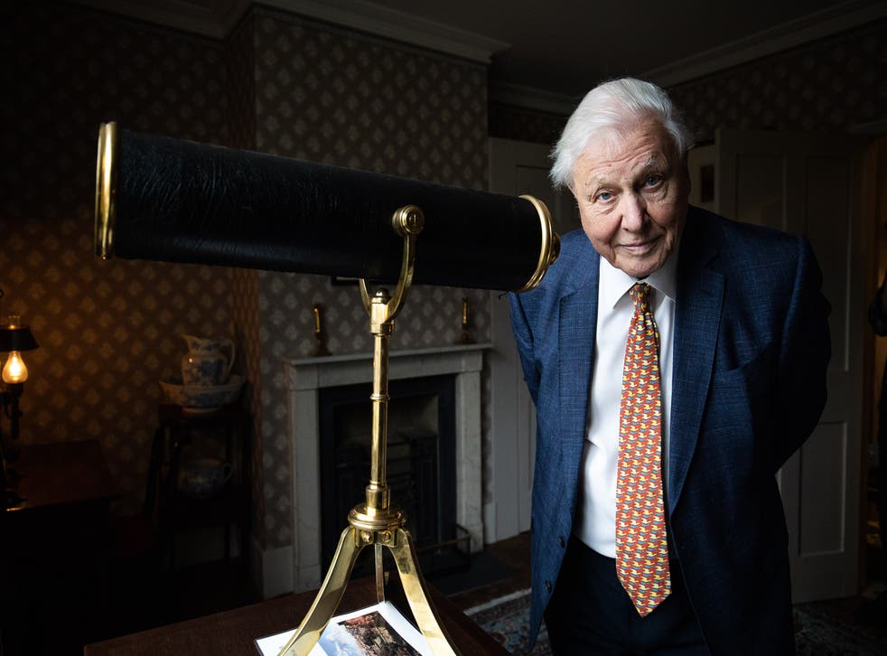 <p>Sir David Attenborough responded to the science graduate confirming that the plaque was indeed incorrect</p>