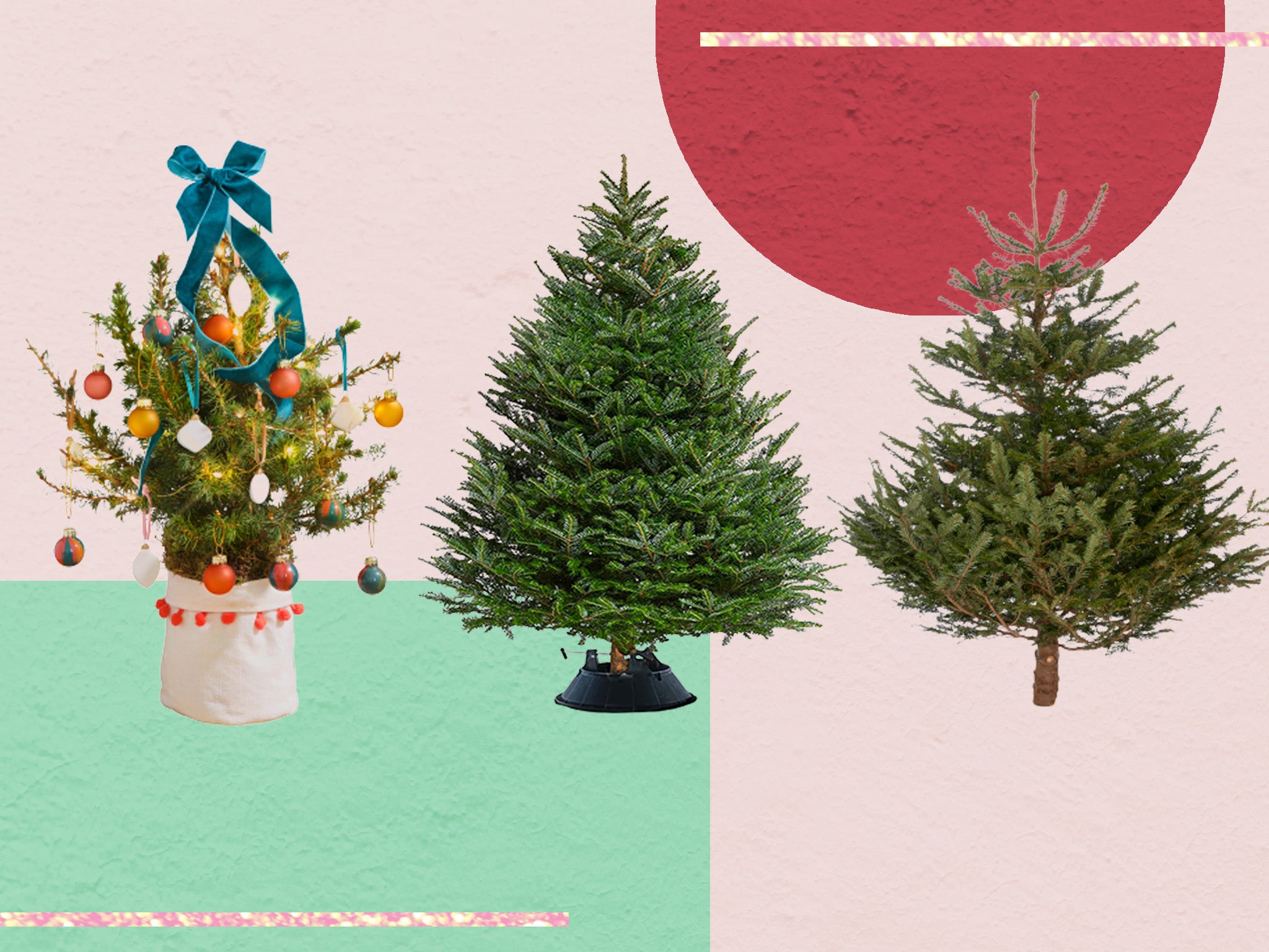 7 best real Christmas trees to order online