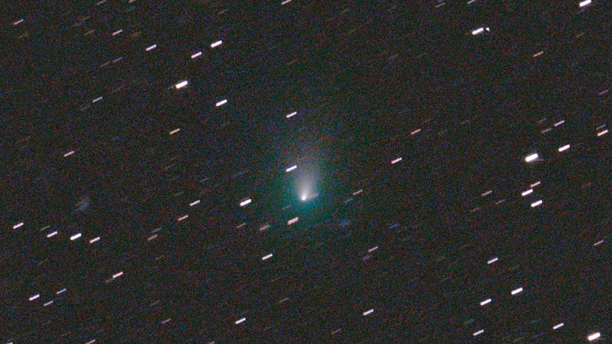 Christmas Comet 2022 Viewing Stargazing In December: The Christmas Comet Is Coming! | The Independent