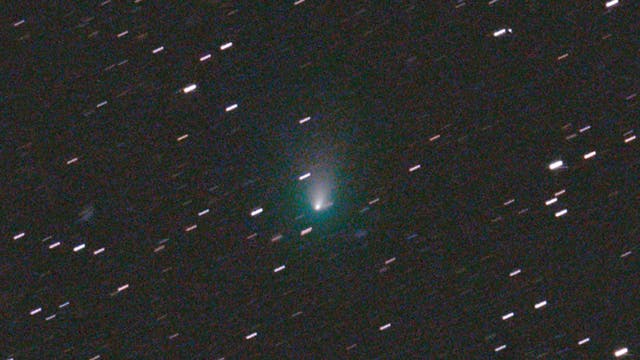 <p>Comet Leonard may be visible to the naked eye this month   </p>