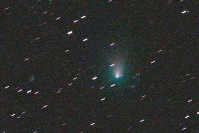 <p>Comet Leonard may be visible to the naked eye this month   </p>