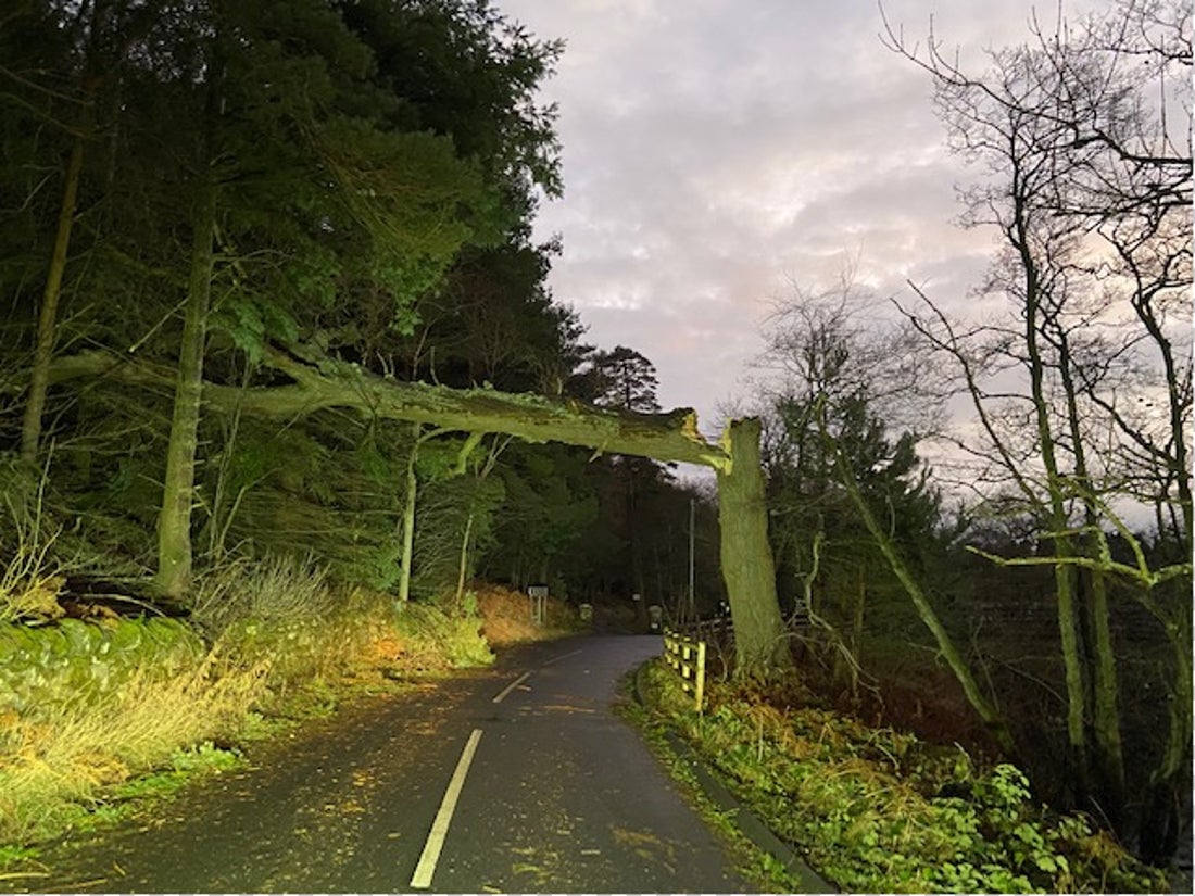 A fallen tree on the Rothbury to Elsdon road (Forestry England/PA)