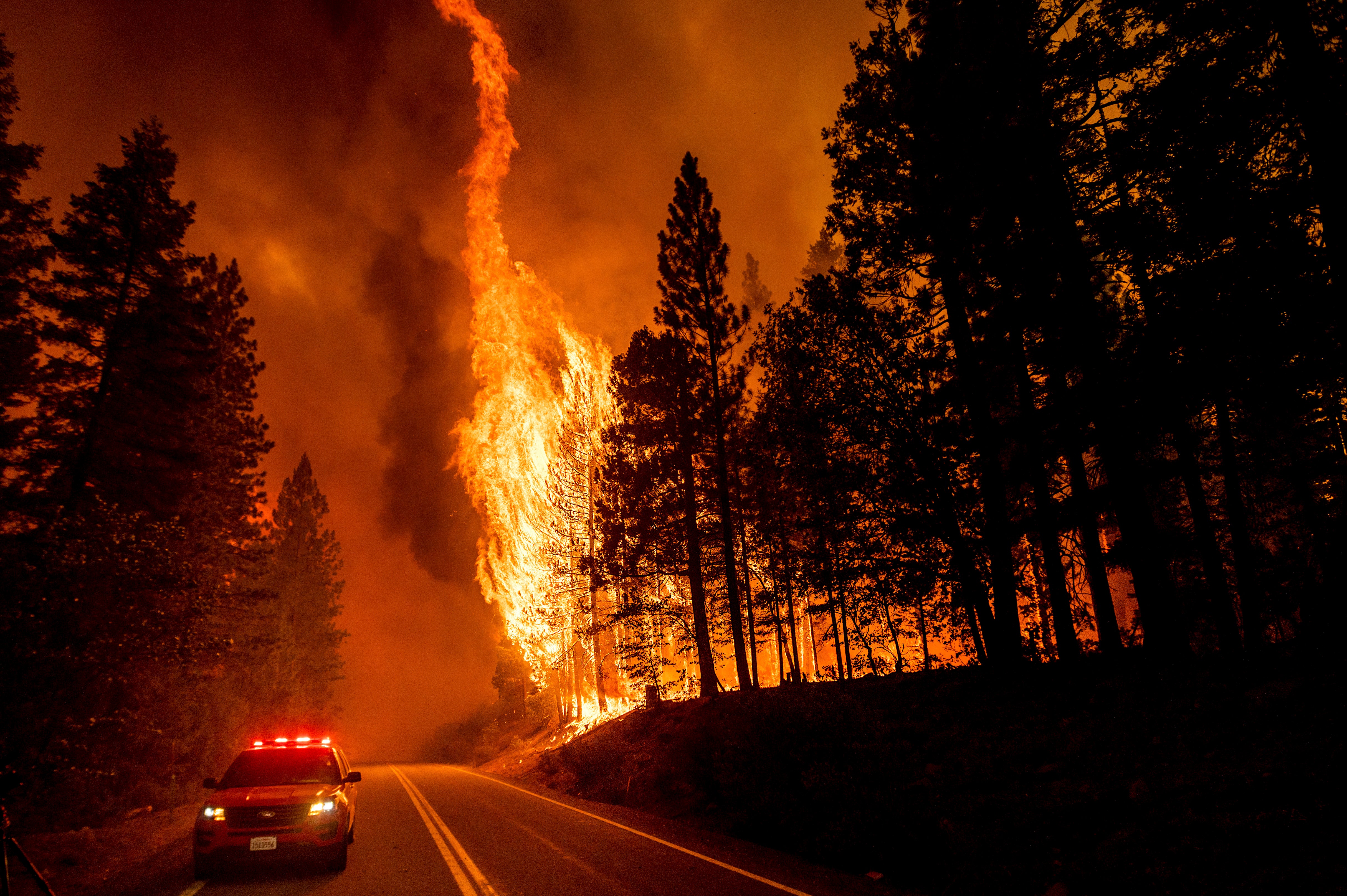 North America faces 'exceptional' change in wildfire catastrophe exposure:  Chaucer's Foley :: Insurance Day