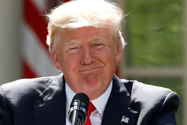 <p>Former president Donald Trump during an announcement in 2017</p>