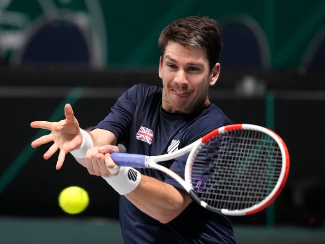 <p>Cameron Norrie was beaten by Jan-Lennard Struff</p>