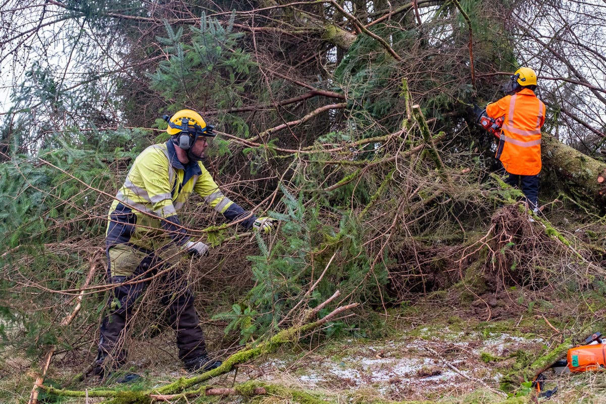 Ministers offer support to thousands still without power after Storm Arwen