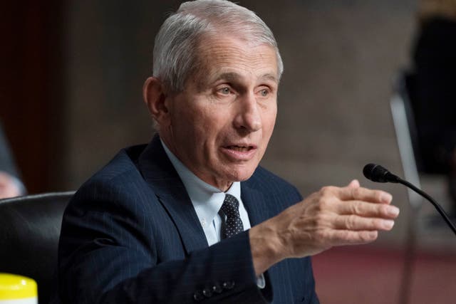 <p>Dr Anthony Fauci testifies in Congress </p>