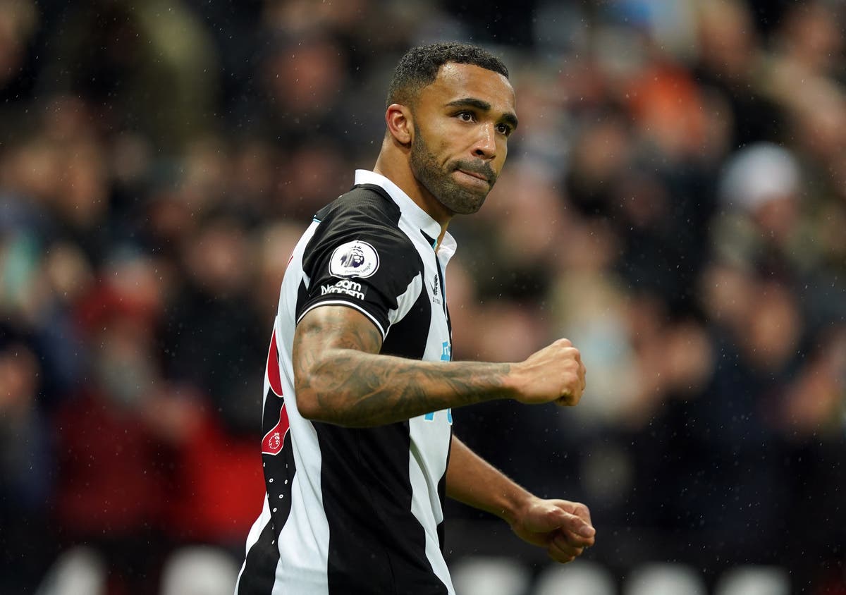 Callum Wilson urges Newcastle to go again after Norwich deny them first win