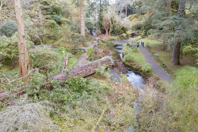 Fallen trees at Bodnant Gardens in Gwynedd, Wales (Paul Harris/National Trust/PA)