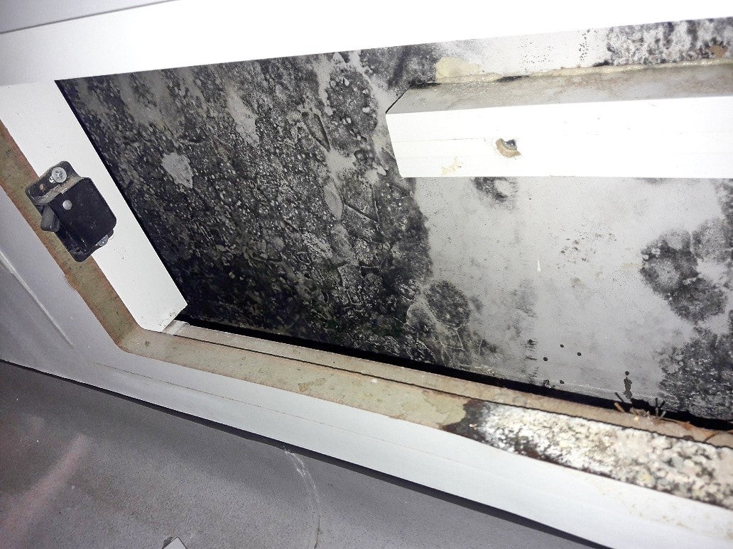 Mould at the Queen Elizabeth University Hospital in Glasgow (Scottish Labour/PA)