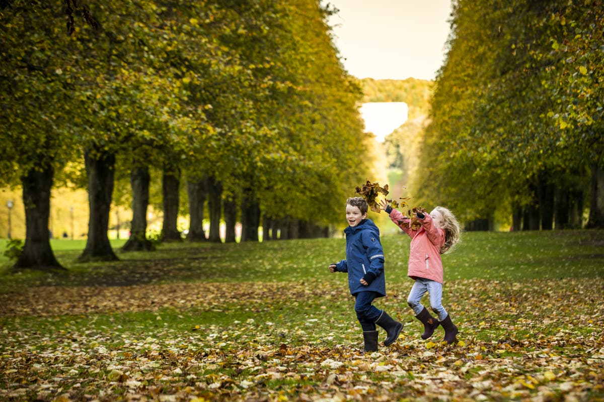 Warmest autumn on record for Northern Ireland and third mildest across ...