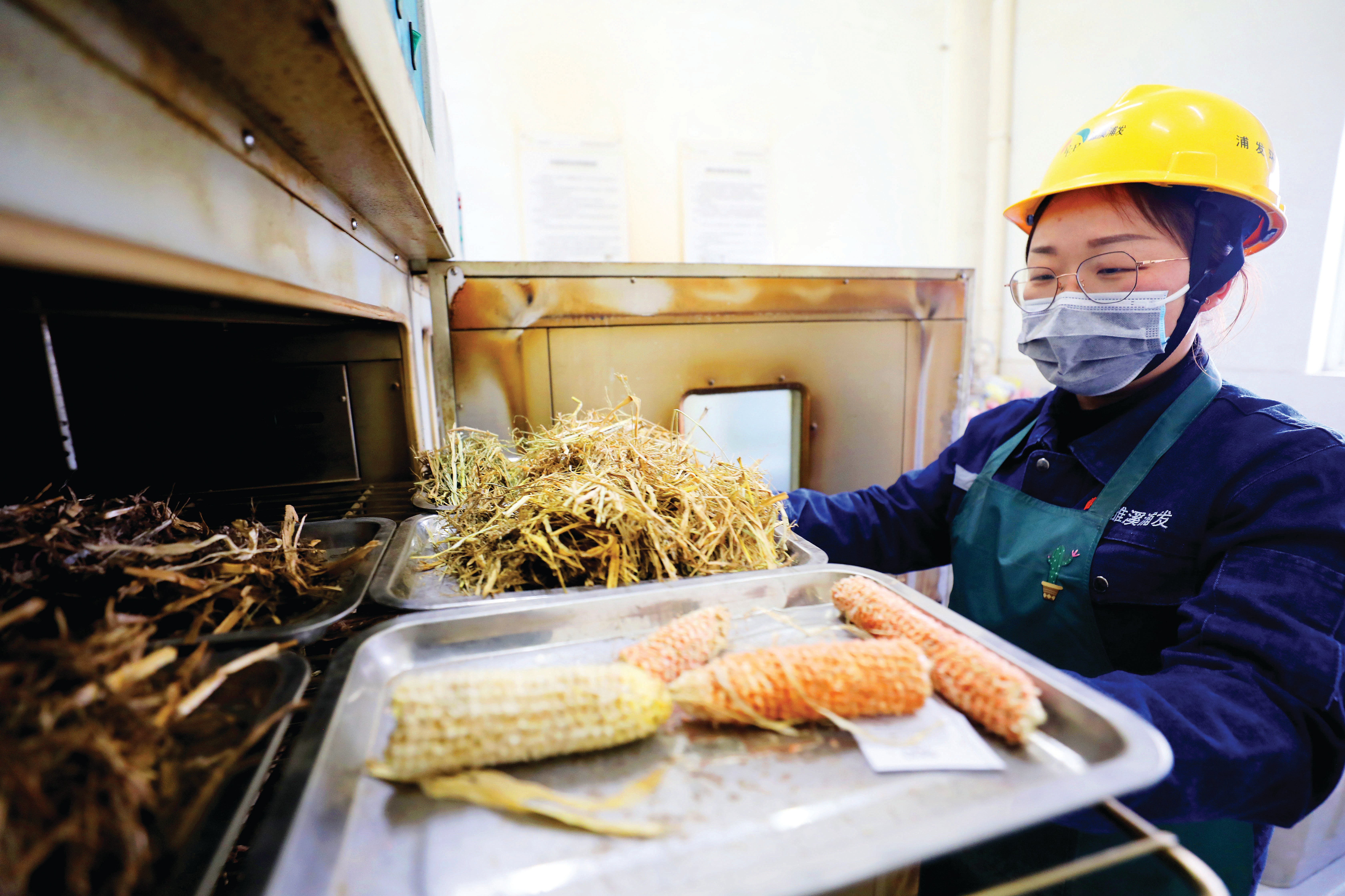 An employee of a power generation company checks moisture content of biomass materials in Huaibei, Anhui province