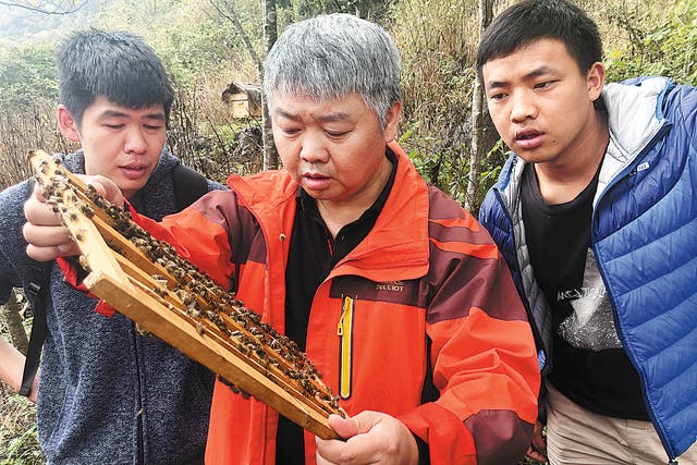<p>Kuang Haiou explains beekeeping methods to two residents of Xinzhu village, Lijiang, Yunnan province</p>