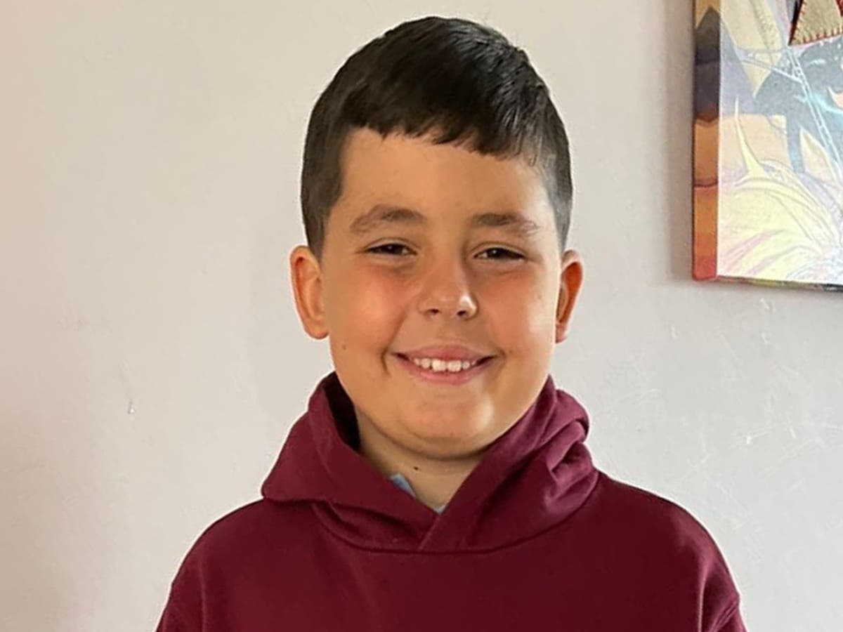 Dog that killed 10yearold boy was not an illegal breed The Independent