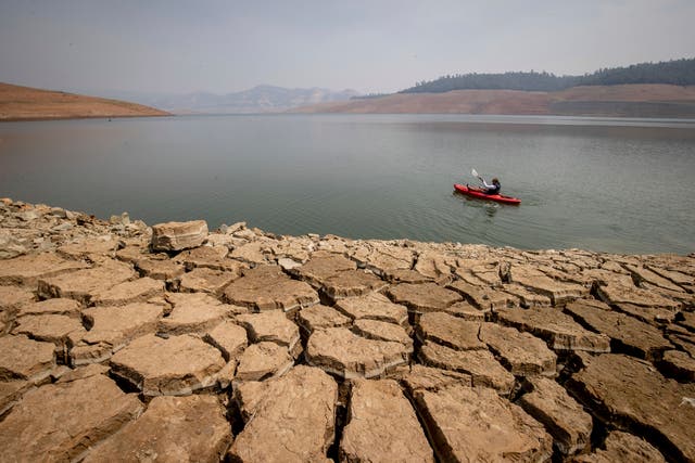 <p>A kayaker in Lake Oroville as water levels remain low due to continuing drought conditions </p>
