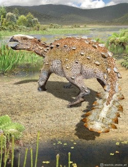 Life appearance and environment of the new species of armoured dinosaur Stegouros elengassen