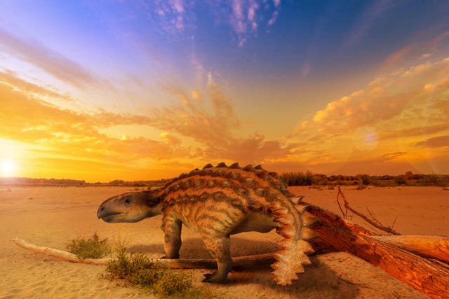 Modelo 3D de la apariencia de vida de la nueva especie de dinosaurio blindado Stegouros elengassen