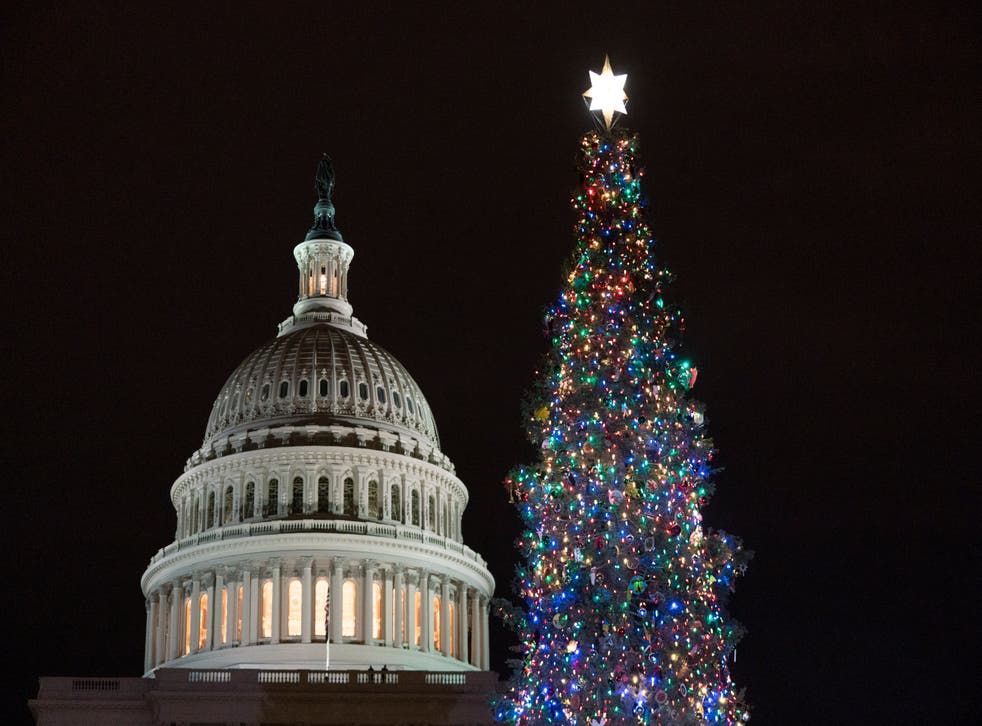 Capitol Christmas Tree 2021