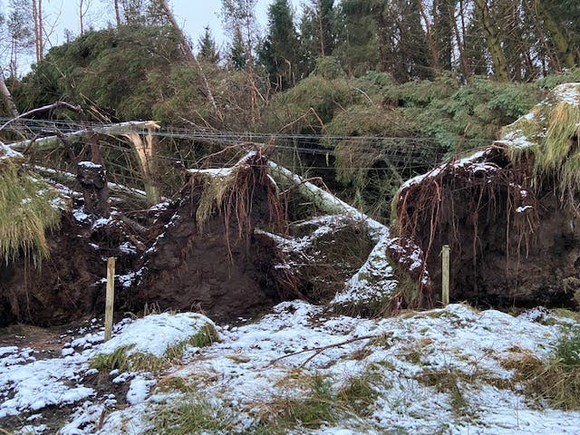 Army deployed in Scotland as thousands of homes still without power ...