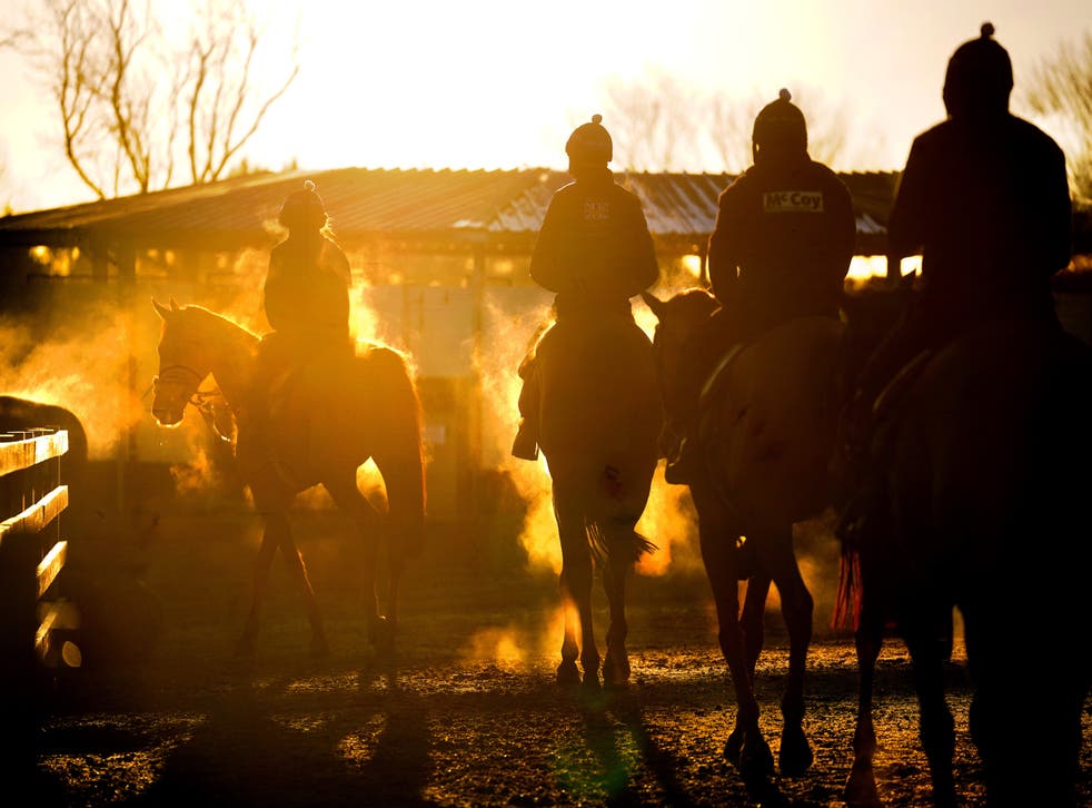 Steam rises from horses after an early morning gallop at stables in Wilmcote, Warwickshire (Victoria Jones/PA)