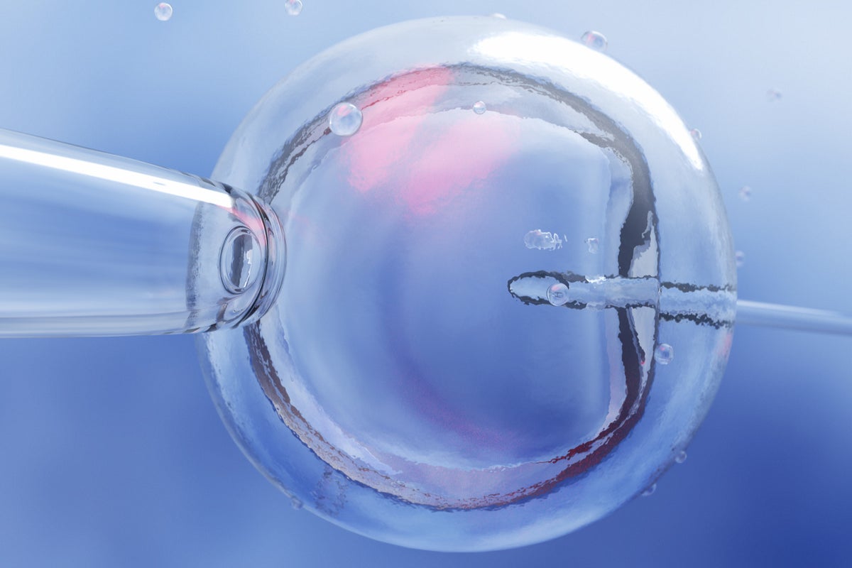 Researchers find programme that could improve IVF outcomes