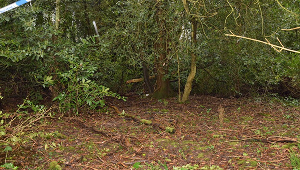 BEST QUALITY AVAILABLE A white towel (centre back) in the distance at the scene of woodland near Hythe (Hampshire Police/PA)