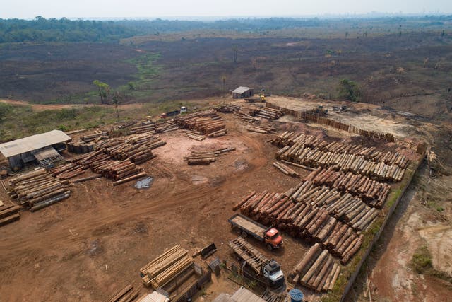 <p>Logs are stacked at a lumber mill surrounded by recently charred and deforested fields near Porto Velho, Rondonia state, Brazil</p>