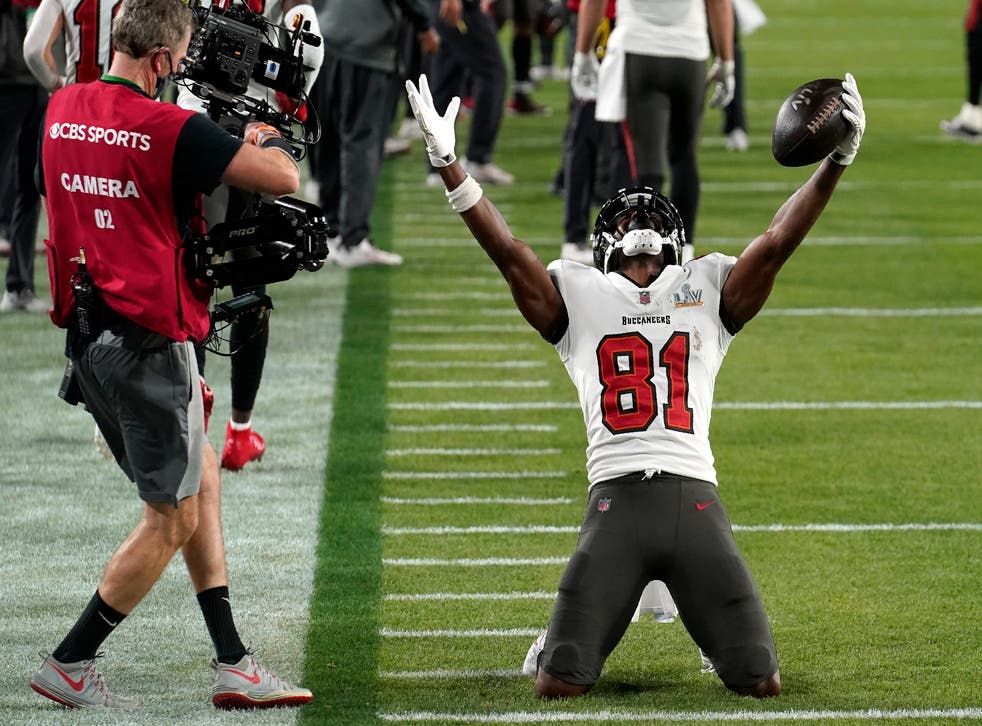 ANTONIO BROWN-SUSPENSION