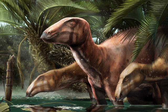<p>An adult and two juvenile individuals of the dinosaur ‘Tethyshadros insularis’ showing the different appearances exhibited by immature and mature specimens</p>