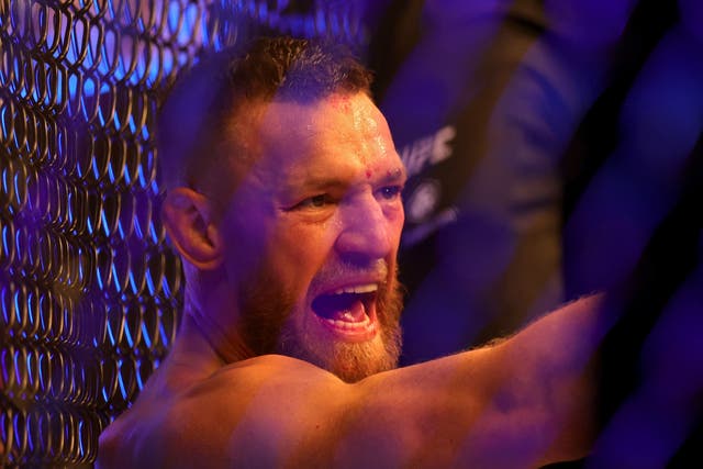 <p>Conor McGregor could return to UFC in the summer of 2022 </p>