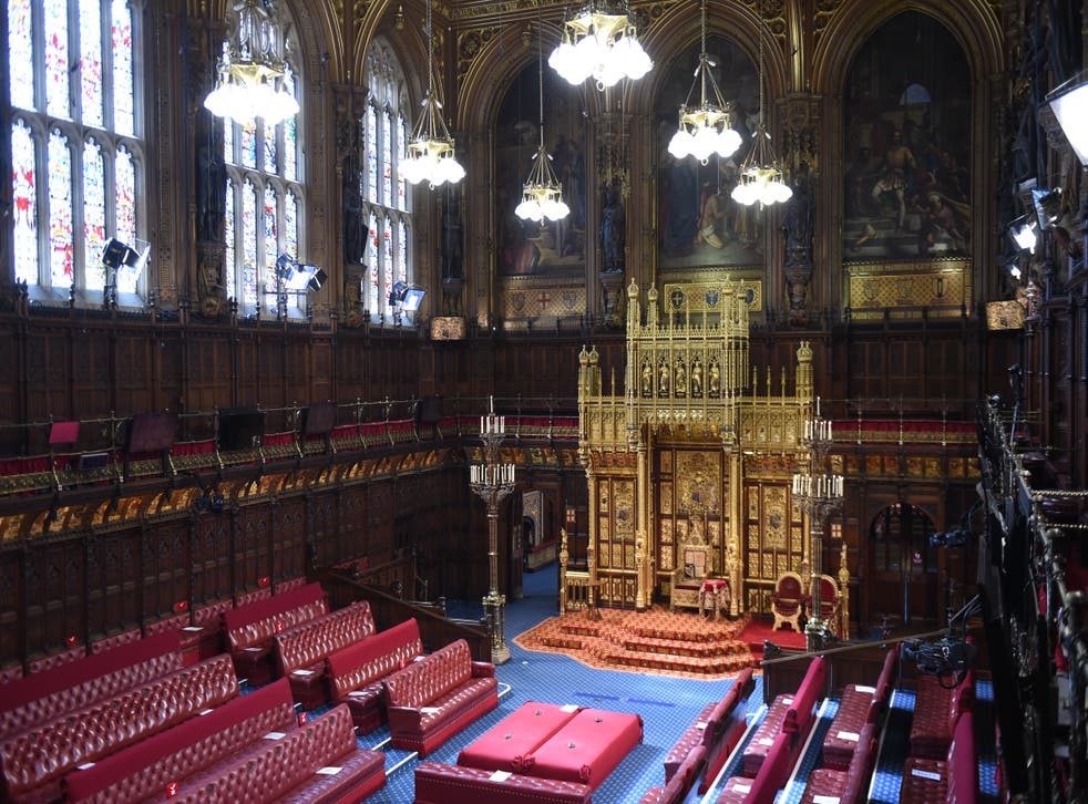 The House of Lords chamber (Eddie Mulholland/The Daily Telegraph/PA)