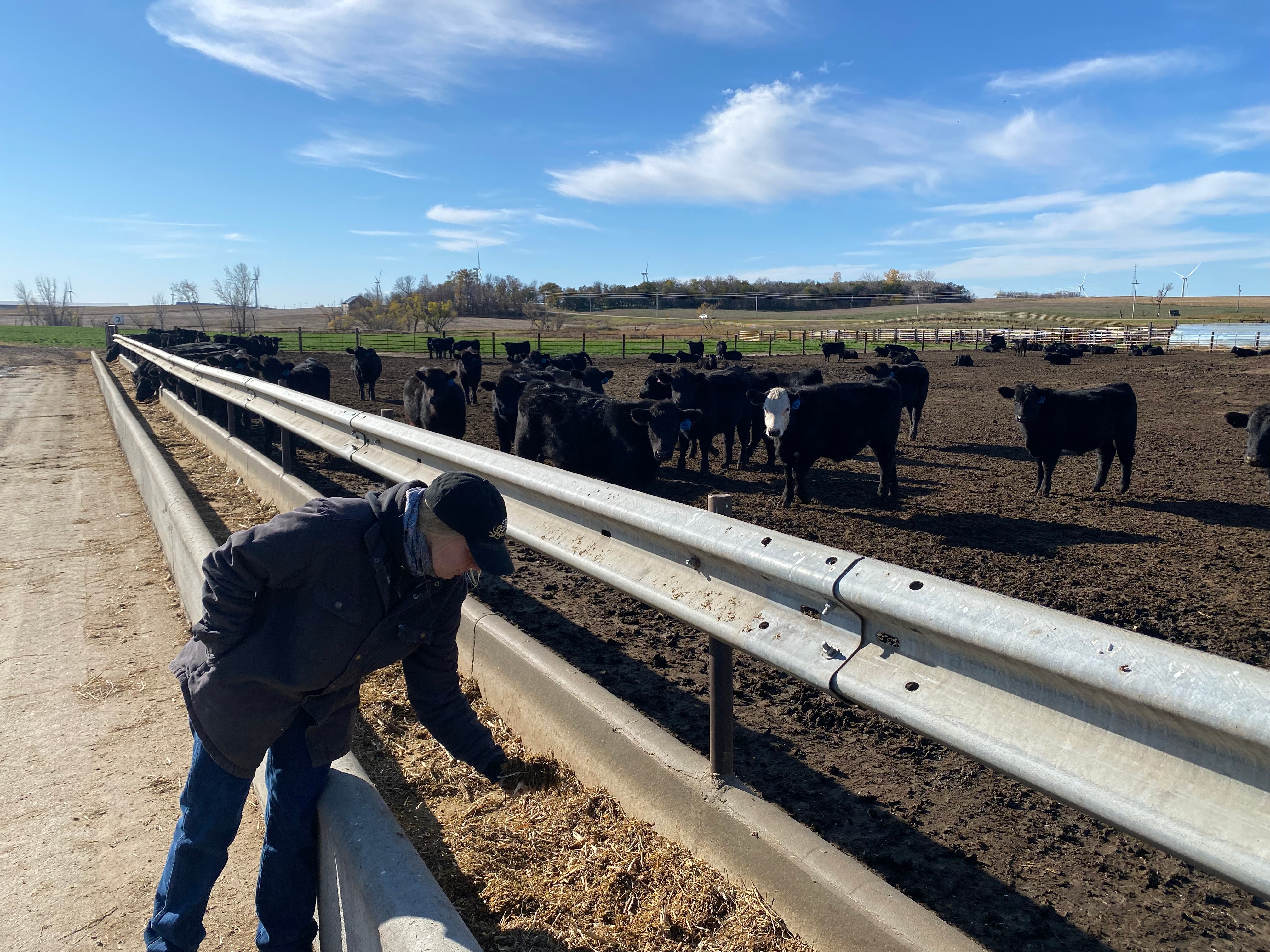 Hannah Borg, a sixth-generation cattle farmer, inspects cattle feed on her farm in northern Nebraska