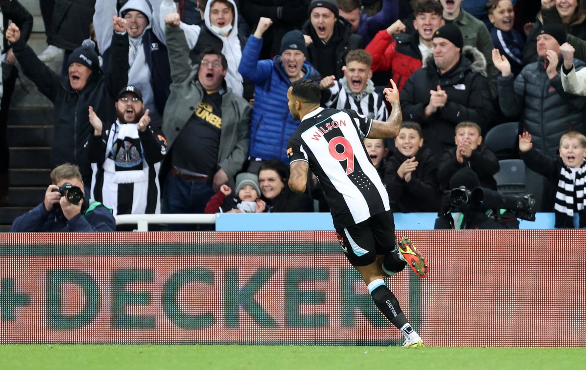 Callum Wilson Goal Sinks Burnley To Earn Newcastle First Premier League Win The Independent