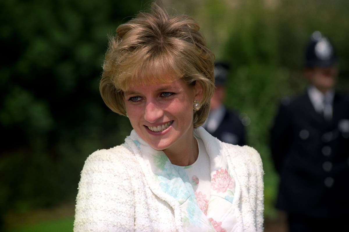 Prince William reveals Tina Turner song brings back memories of his mother Diana